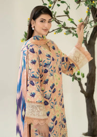 Johra Ardin Winter'25 JW-262