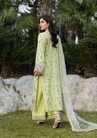 Elaf Chikankari Prints'26 D-2A