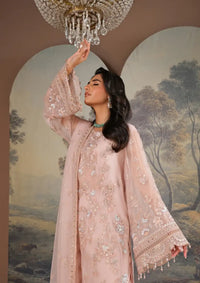 Lavish Zebaish Luxury Chiffon'24 D-02 LINEN