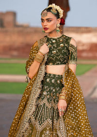 Zarlish By Mohsin Naveed Ranjha Festive'25 Vol-6 D-08 Afsana