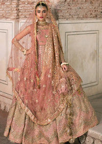 Zarlish By Mohsin Naveed Ranjha Festive'25 Vol-6 D-02 Khushboo