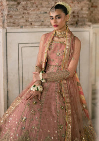 Zarlish By Mohsin Naveed Ranjha Festive'25 Vol-6 D-02 Khushboo