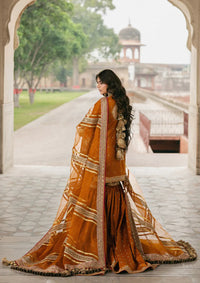 Zarlish By Mohsin Naveed Ranjha Festive'25 Vol-6 D-07 Ranjish