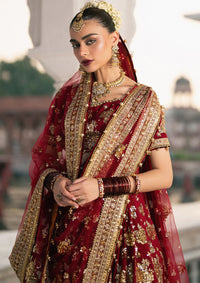 Zarlish By Mohsin Naveed Ranjha Festive'25 Vol-6 D-01 Bia Jaan