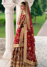 Zarlish By Mohsin Naveed Ranjha Festive'25 Vol-6 D-01 Bia Jaan