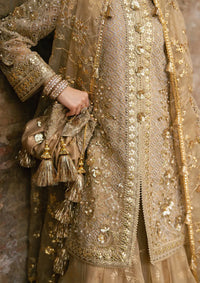 Zarlish By Mohsin Naveed Ranjha Festive'25 Vol-6 D-03 Roshni