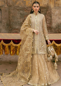 Zarlish By Mohsin Naveed Ranjha Festive'25 Vol-6 D-03 Roshni