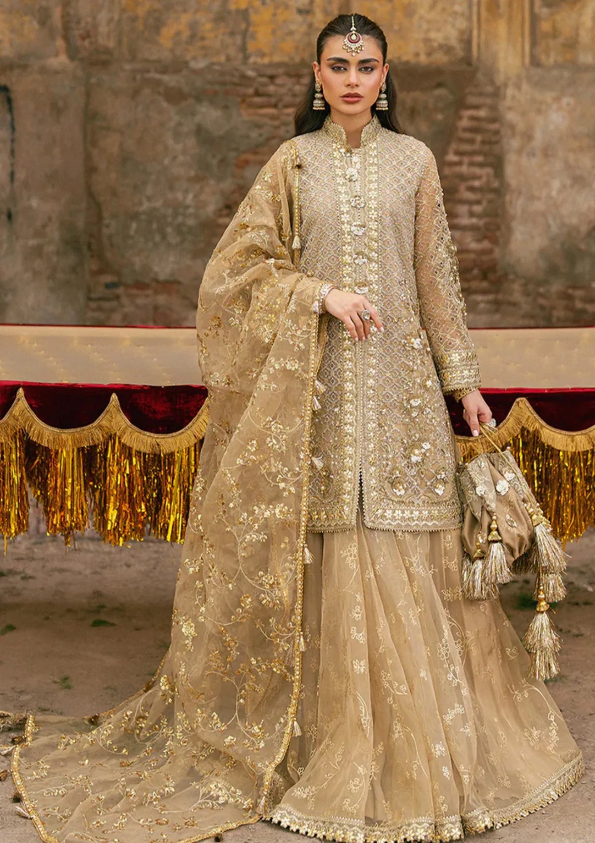 Zarlish By Mohsin Naveed Ranjha Festive'25 Vol-6 D-03 Roshni