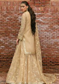 Zarlish By Mohsin Naveed Ranjha Festive'25 Vol-6 D-03 Roshni