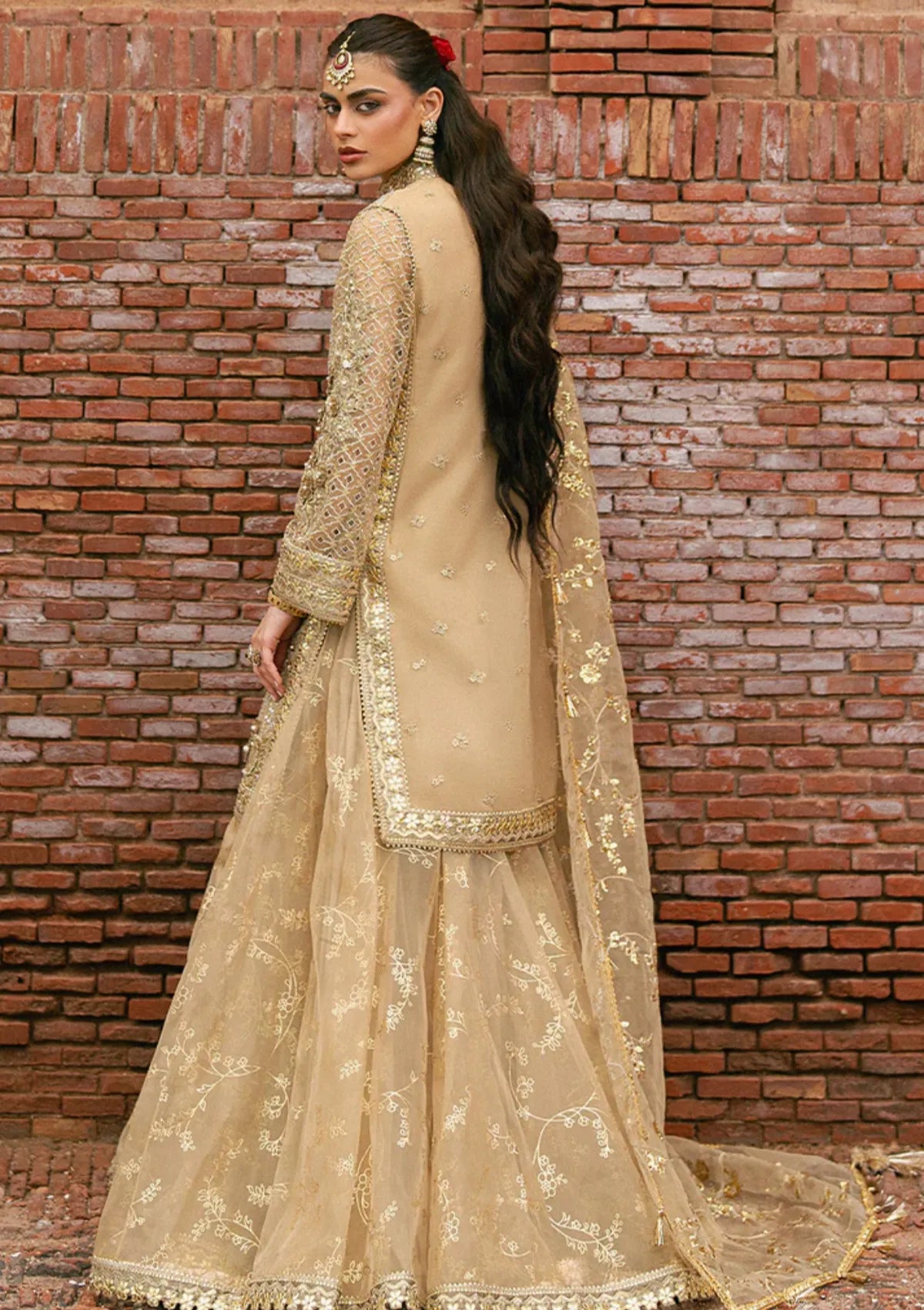 Zarlish By Mohsin Naveed Ranjha Festive'25 Vol-6 D-03 Roshni