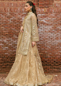 Zarlish By Mohsin Naveed Ranjha Festive'25 Vol-6 D-03 Roshni