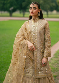 Zarlish By Mohsin Naveed Ranjha Festive'25 Vol-6 D-03 Roshni