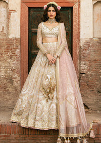 Zarlish By Mohsin Naveed Ranjha Festive'25 Vol-6 D-05 Kohinoor