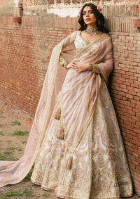 Zarlish By Mohsin Naveed Ranjha Festive'25 Vol-6 D-05 Kohinoor