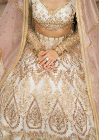 Zarlish By Mohsin Naveed Ranjha Festive'25 Vol-6 D-05 Kohinoor