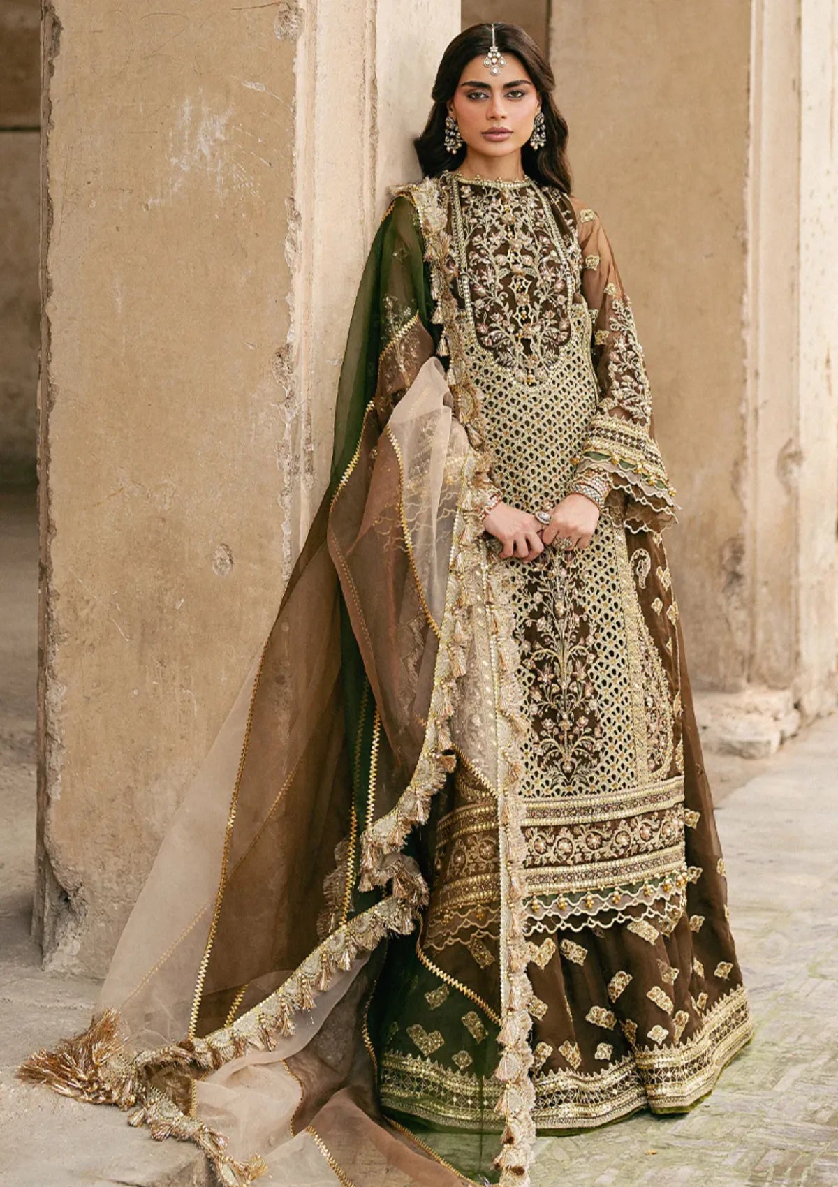 Zarlish By Mohsin Naveed Ranjha Festive'25 Vol-6 D-06 Tabeer