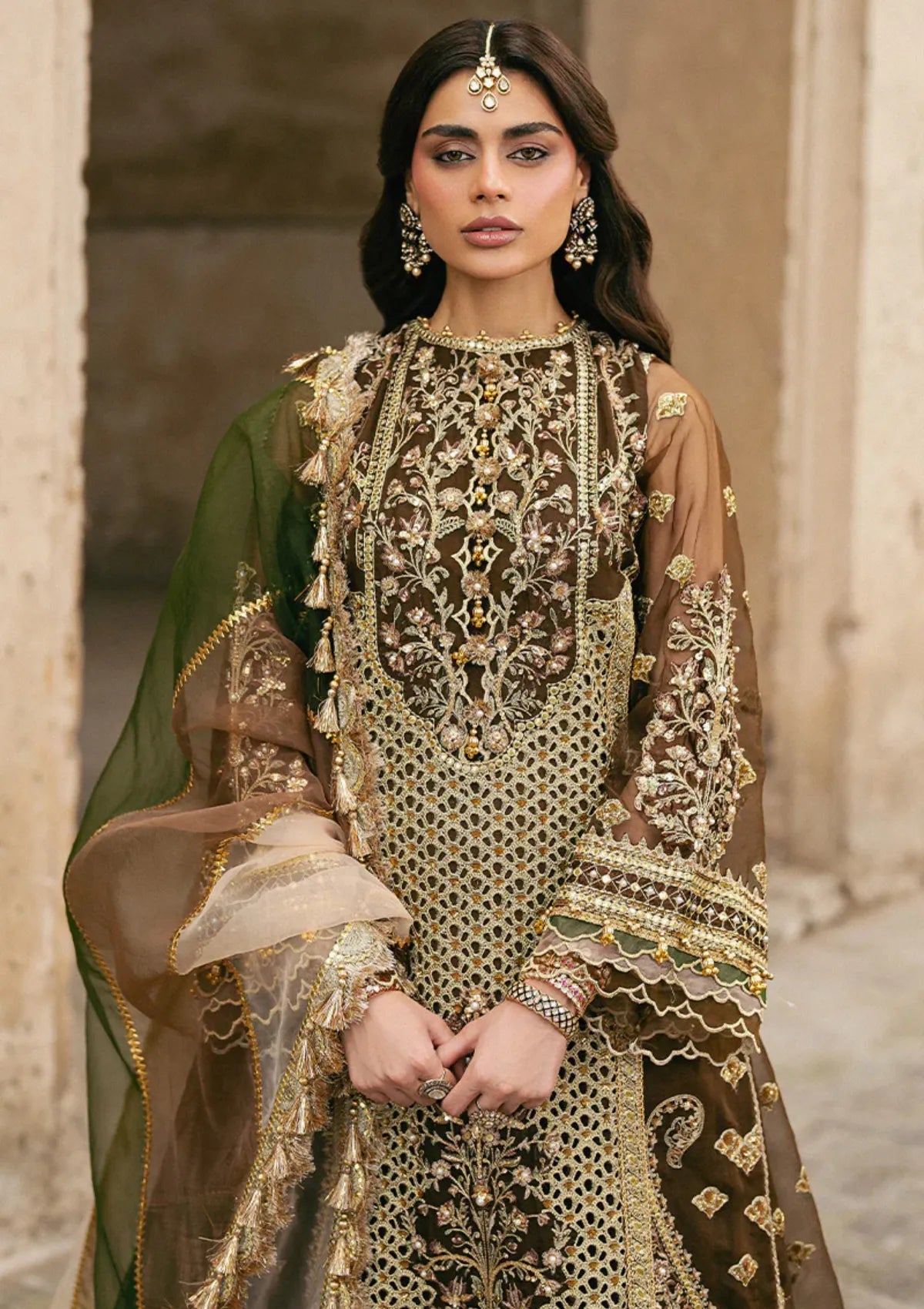 Zarlish By Mohsin Naveed Ranjha Festive'25 Vol-6 D-06 Tabeer