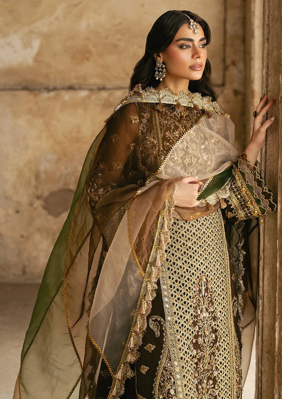 Zarlish By Mohsin Naveed Ranjha Festive'25 Vol-6 D-06 Tabeer