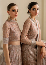 Iznik Chinon Chiffon'25 CC-43