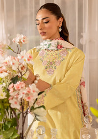 Farasha Seraya Emb Lawn'24 D-05 FERN - Mohsin Saeed Fabrics