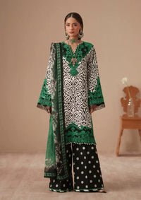 Bin Ilyas Jojo Summer '26 D-85A