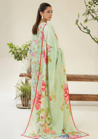 Johra Ardin Winter'25 JW-258