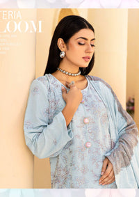 Aanchal Signature by Khoobsurat'24 D-07