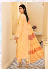 Aanchal Signature by Khoobsurat'24 D-01