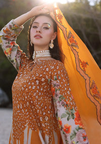 Charizma Print Melody Lawn'24 Vol-04 PM4-29 - Mohsin Saeed Fabrics