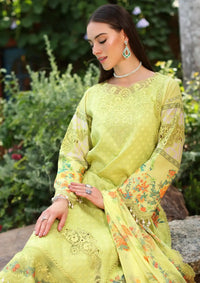 Charizma Reem Emb Lawn'24 Vol-02 CRS4-18 - Mohsin Saeed Fabrics