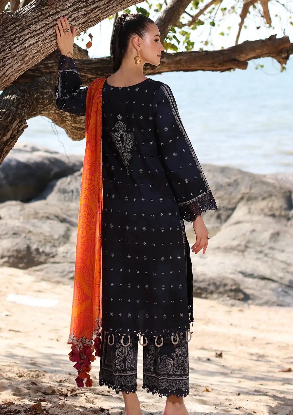 Charizma Aniq Emb Lawn'24 Vol-01 AN4-06 - Mohsin Saeed Fabrics