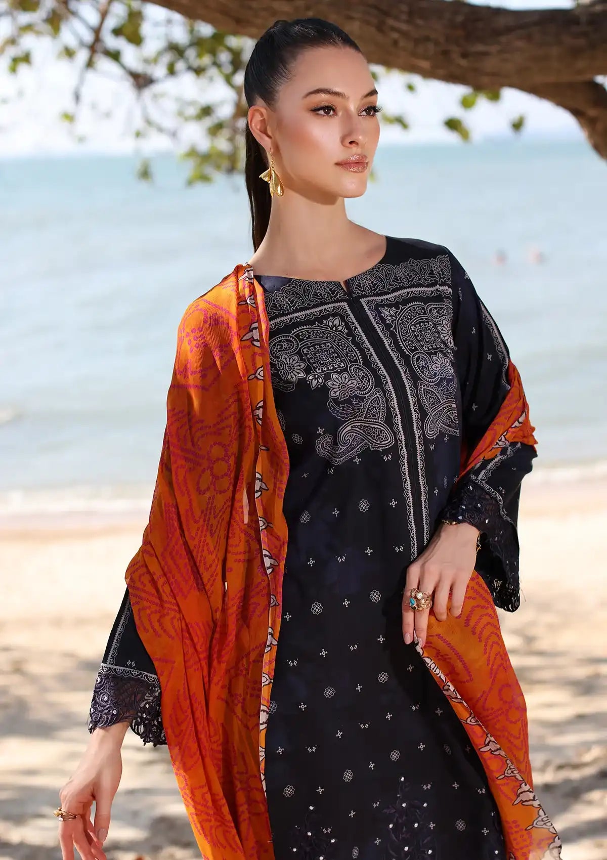 Charizma Aniq Emb Lawn'24 Vol-01 AN4-06 - Mohsin Saeed Fabrics