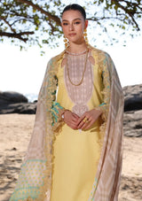 Charizma Aniq Emb Lawn'24 Vol-01 AN4-08 - Mohsin Saeed Fabrics