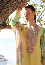 Charizma Aniq Emb Lawn'24 Vol-01 AN4-08 - Mohsin Saeed Fabrics