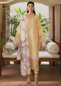 Neeshay Symphony Luxury Lawn'24 Sublime - Mohsin Saeed Fabrics