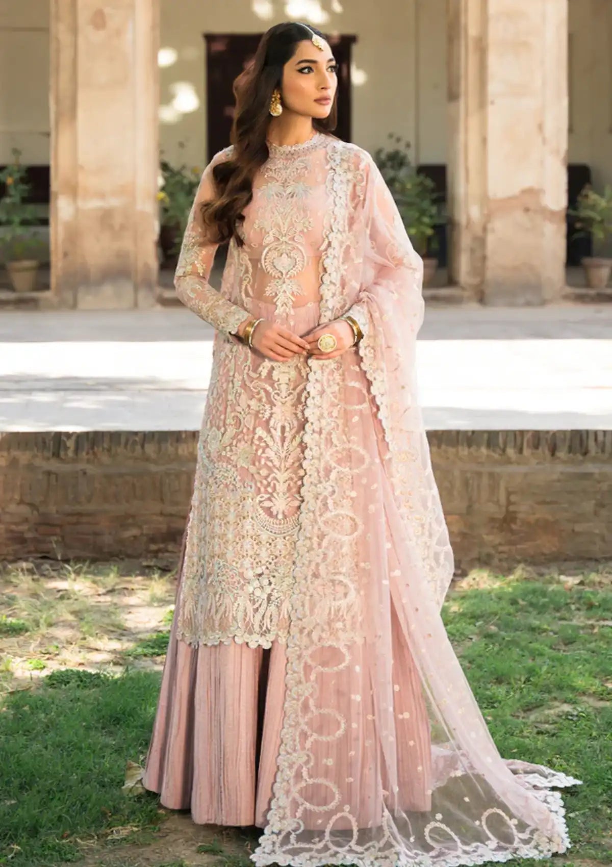 Ayzel Pehli Nazar Festive Chiffon'24 D-05 MUSSARAT - Mohsin Saeed Fabrics