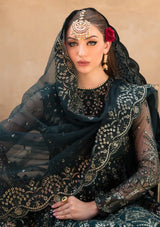 Ayzel Pehli Nazar Festive Chiffon'24 D-09 FARIDA - Mohsin Saeed Fabrics