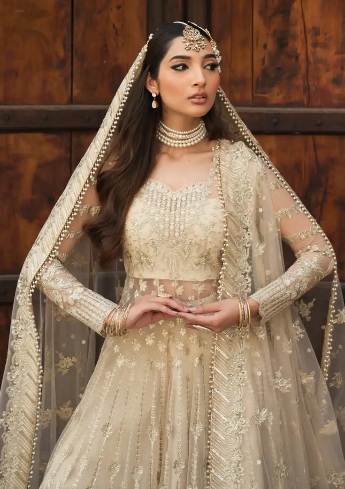 Ayzel Pehli Nazar Festive Chiffon'24 D-10 SHAHANA - Mohsin Saeed Fabrics