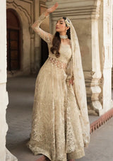 Ayzel Pehli Nazar Festive Chiffon'24 D-10 SHAHANA - Mohsin Saeed Fabrics