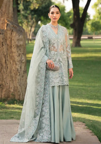 Ayzel Pehli Nazar Festive Chiffon'24 D-04 SULTANA - Mohsin Saeed Fabrics