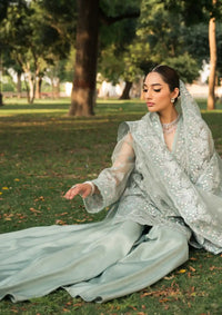 Ayzel Pehli Nazar Festive Chiffon'24 D-04 SULTANA - Mohsin Saeed Fabrics