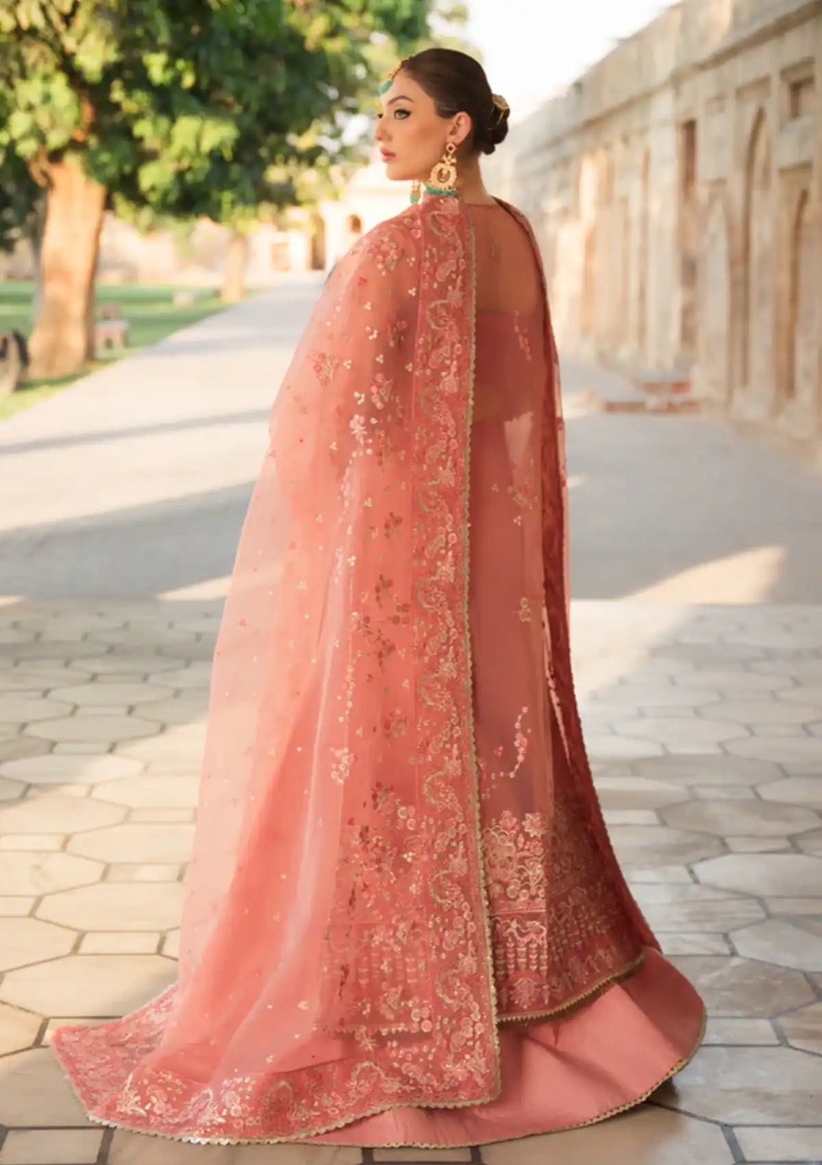 Ayzel Pehli Nazar Festive Chiffon'24 D-06 RUKHSAR - Mohsin Saeed Fabrics