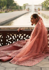 Ayzel Pehli Nazar Festive Chiffon'24 D-06 RUKHSAR - Mohsin Saeed Fabrics