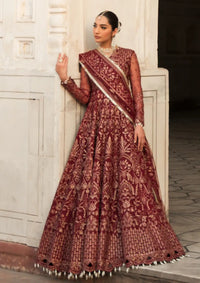 Ayzel Pehli Nazar Festive Chiffon'24 D-01 ZULEKHA - Mohsin Saeed Fabrics