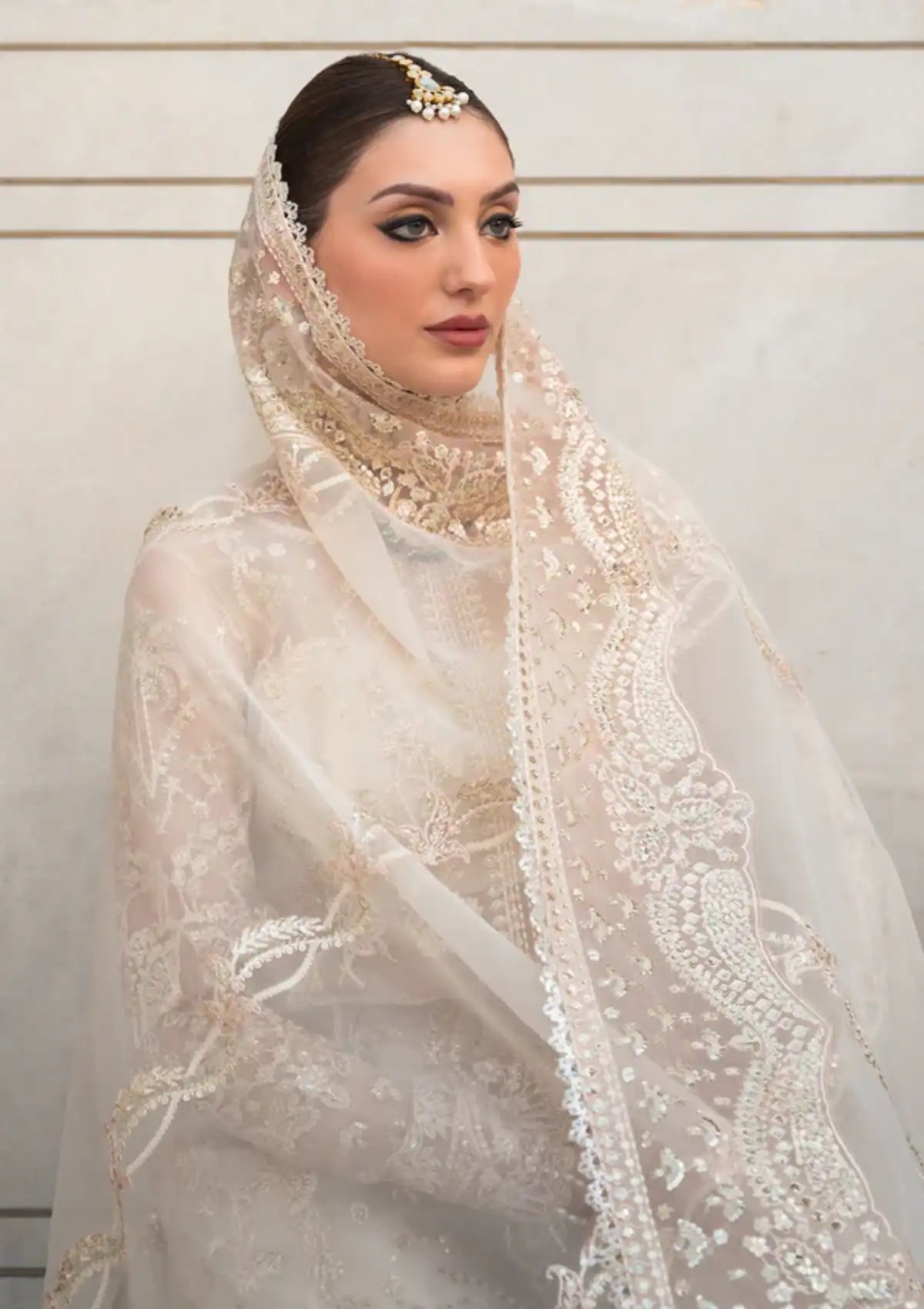 Ayzel Pehli Nazar Festive Chiffon'24 D-03 ZUBAIDA - Mohsin Saeed Fabrics