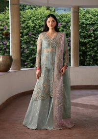 Ayzel Pehli Nazar Festive‘26 168-Gulshan