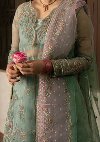 Ayzel Pehli Nazar Festive‘26 168-Gulshan