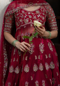 Ayzel Pehli Nazar Festive‘26 165-Gulbahar