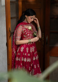 Ayzel Pehli Nazar Festive‘26 165-Gulbahar
