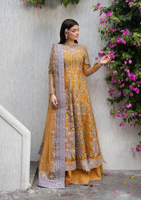 Ayzel Pehli Nazar Festive‘26 162-Zarafshan